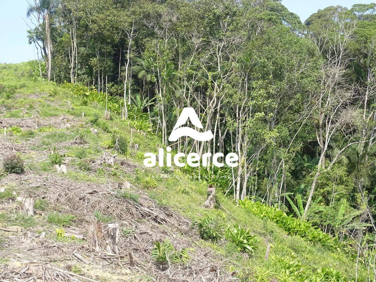 Imagem Área à venda com , 188.382m² em Área Rural de Biguaçu Biguaçu