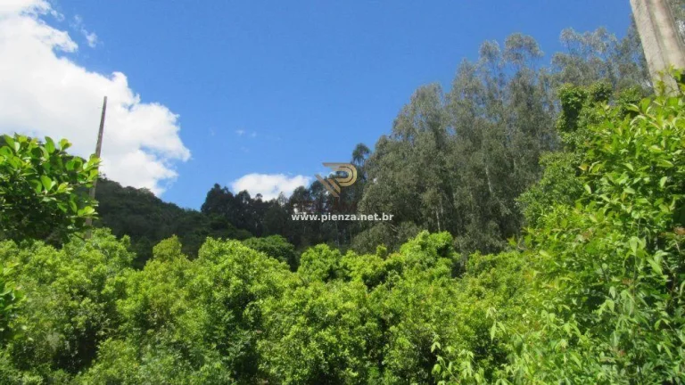 Imagem Área Agrícola para Venda em Concórdia, Interior