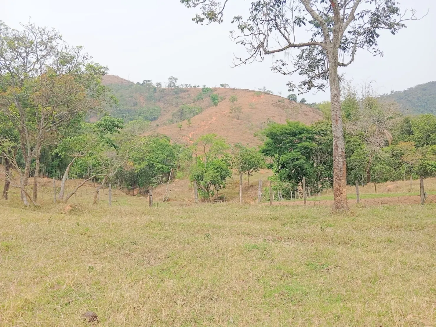 Foto do imóvel Fazenda proxima a Dutra paraa venda, , Roseira Velha, SP