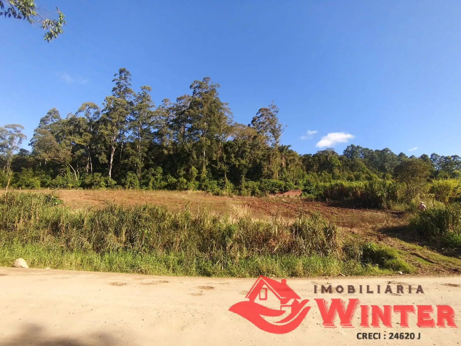 Foto do imóvel Área de terras com 3 hectares no Bananal!