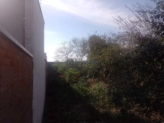 Imagem Terreno Padrão