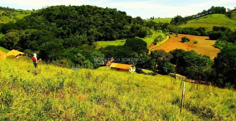 Imagem Chácara a venda