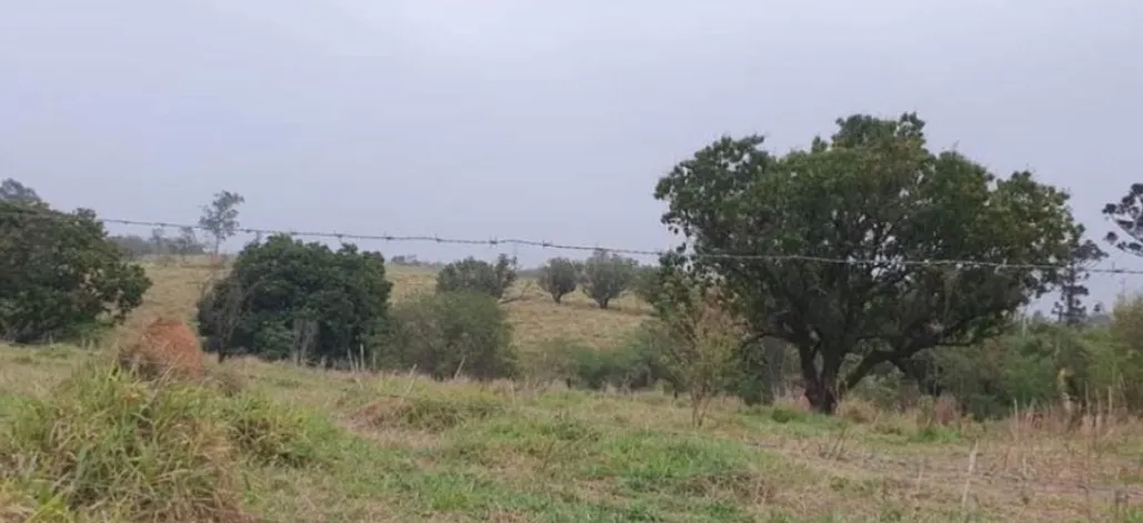 Imagem Área Rural de 98.986.000m2 Aparecidinha- Sorocaba