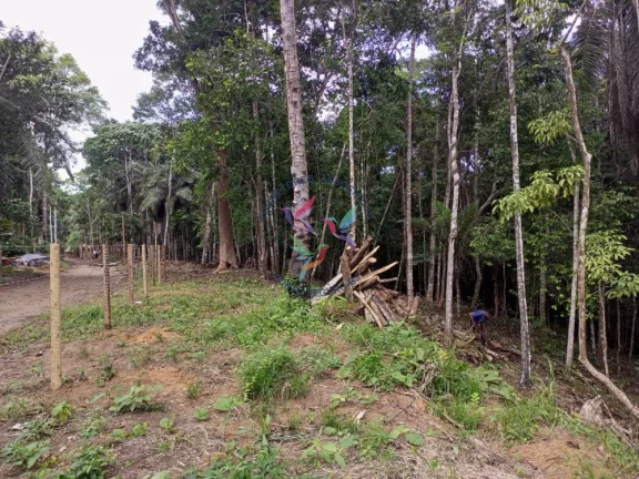 Imagem ÁREA DE 9.000 M2 EM SAPIRARA