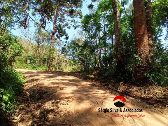 Imagem Área para Venda Com 4488,00 m², em Campos do Jordão/SP.