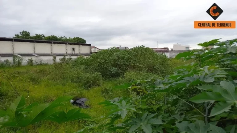 Imagem TERRENO EM FEIRA DE SANTANA - BA