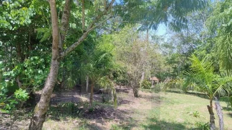 Imagem CH0359 - Chacara a venda em Bofete - aceito permuta Botucatu