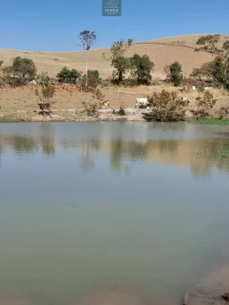 Imagem Terreno incrível para criação de animais e plantio