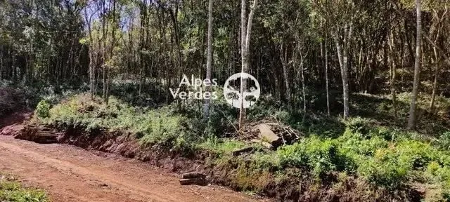 Imagem VENDE-SE TERRENO DE 2,22 HECTARES NA CIDADE DE GRAMADO, A 7 KM DA RUA COBERTA.