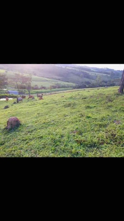 Imagem Terreno à Venda em Piedade dos Gerais / MG 15 hectares de área total