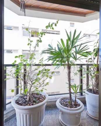 Imagem Apartamento amplo com living para 3 ambientes, terraço com vista livre, lavabo, 3 suítes com armá...