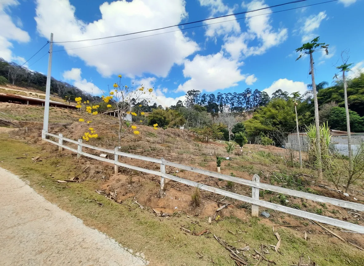 Imagem Terreno à venda em Pinheiros, Bandeira do Sul