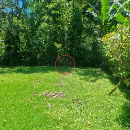 Imagem 2 pequenas Casas na maquinino Bairro MAQUININHA, em um terreno de 700 metros limpo em rua asfaltada , junto a natureza