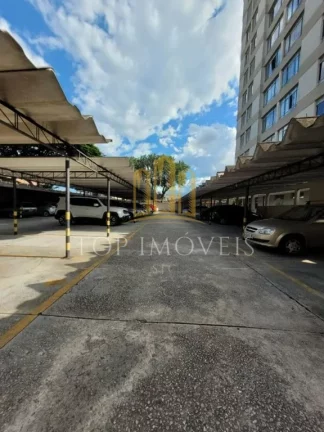 Imagem Lindo Apartamento Localizado no Monte Castelo 3 dormitorios Suite Planejados