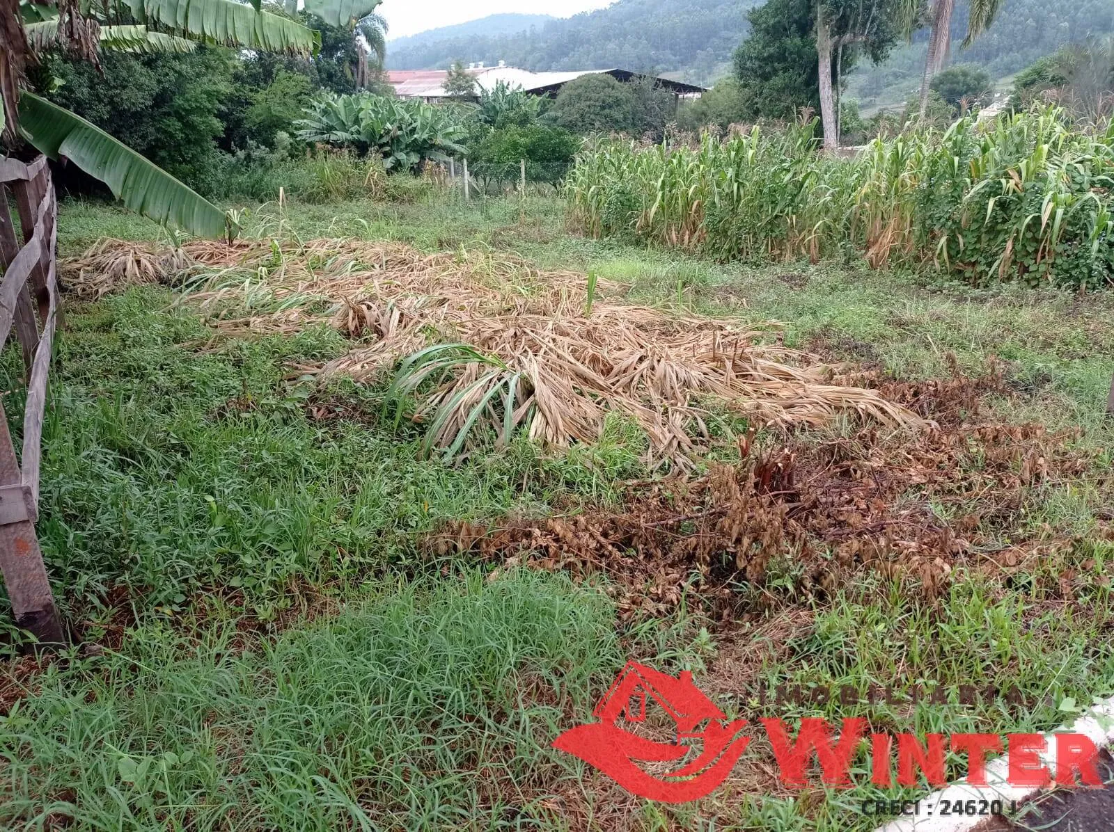 Imagem Terreno de 360m² no Centro de Tupandi.
