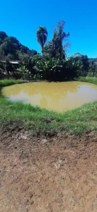 Imagem Área Agrícola para Venda em Ipumirim, Interior