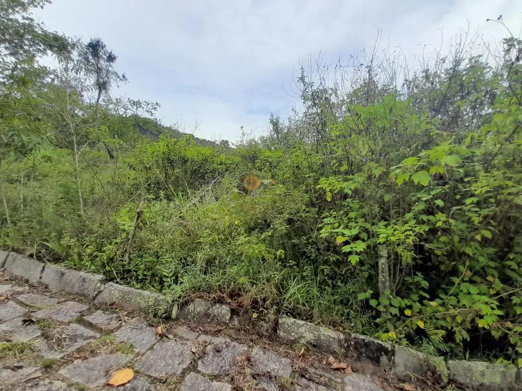 Imagem Terreno para Venda em Teresópolis / RJ no bairro Colônia Alpina