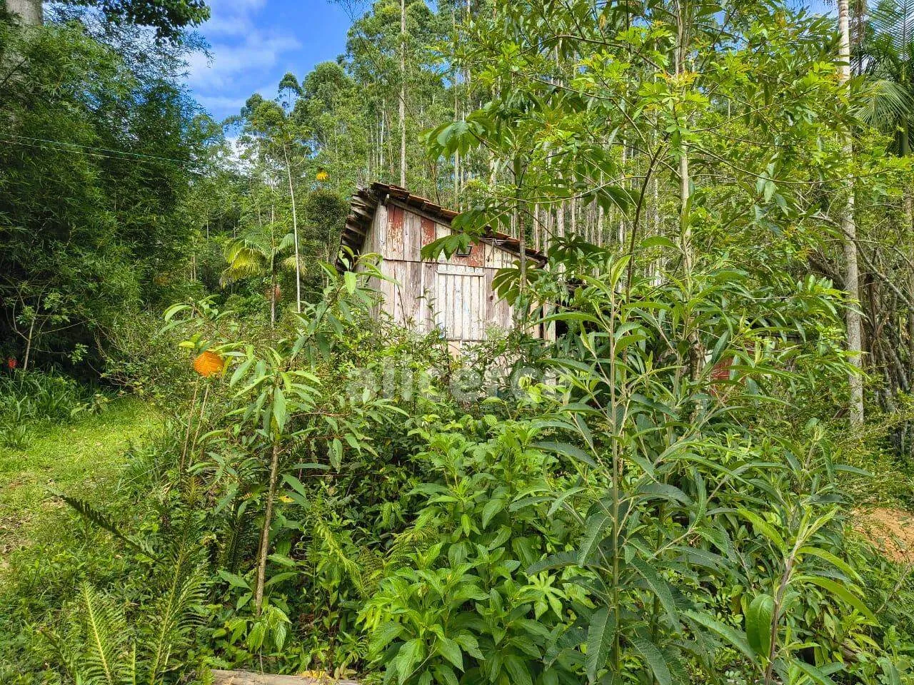Imagem Sítio à venda com , 260.084m² em Área Rural de Biguaçu Biguaçu