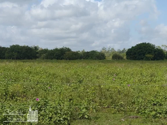 Imagem FAZENDA A VENDA NO RURAL MARGEM DO RIO CAMARÁ