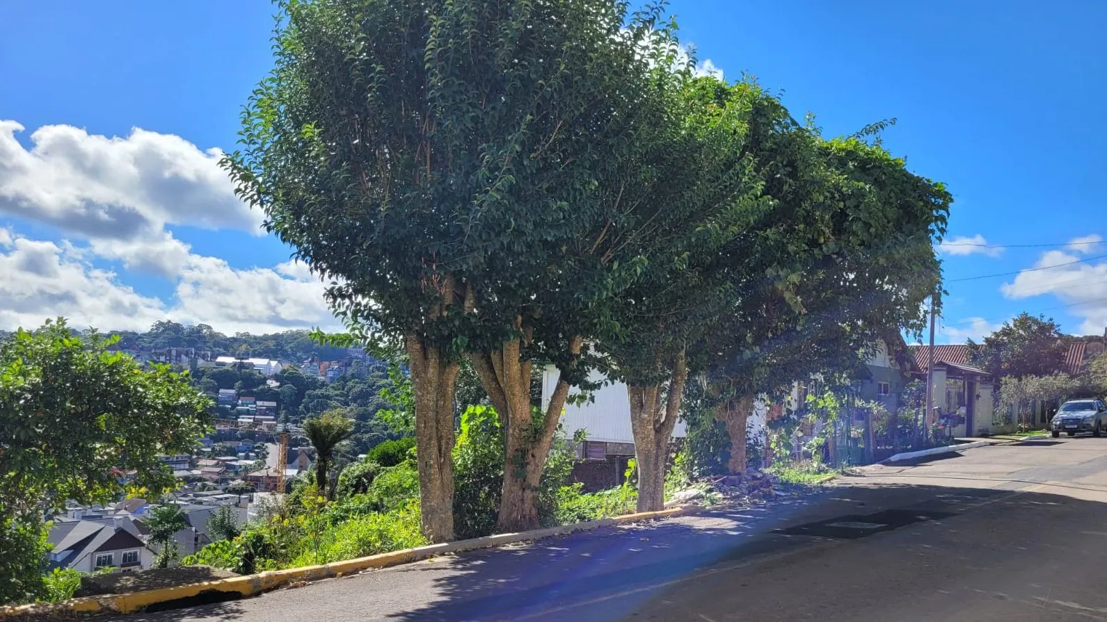 Foto do imóvel Lote à venda em Gramado, Piratini, 426m2