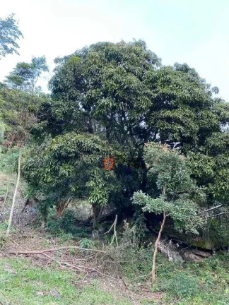 Imagem Área à venda, 60000 m² por R$ 420.000 - Monjolinho - Itapeva/MG