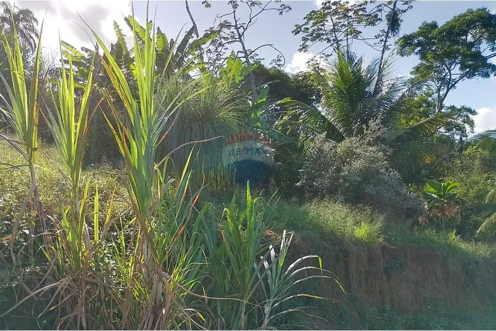 Imagem Terreno à Venda em Guaratiba