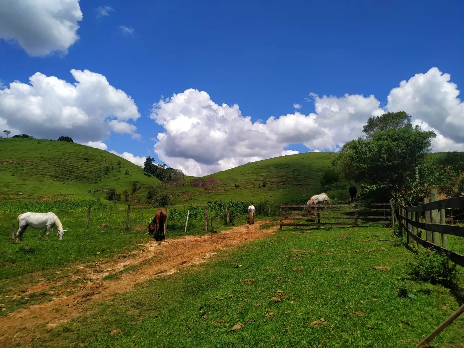 Imagem Chácara à venda 2 Quartos, 411400M², Zona Rural, Cunha - SP