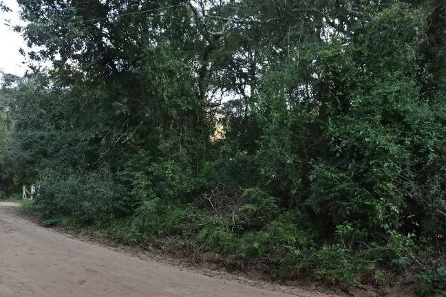 Imagem Lindos terrenos (2), belíssima mata nativa, privativo, Águas Claras