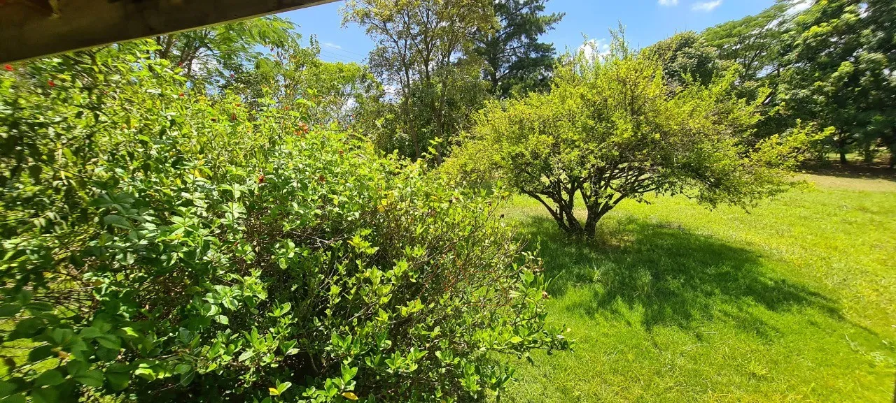 Imagem Chácara à venda em Cesário Lange-SP