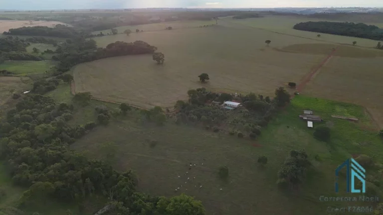 Imagem Fazenda Anápolis Goiás-GO Grande Potencial para Pecuária, Agricultura, Loteamento e Mineração