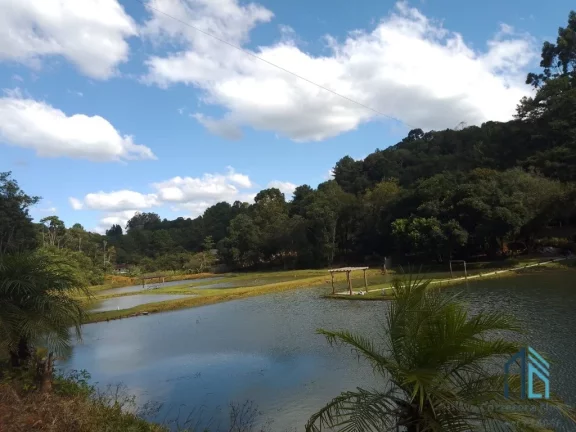 Imagem Chácara c/casa, área de: 20.000 mil m², asfalto na frente, no Palmitalzinho em Quatro Barras Pr