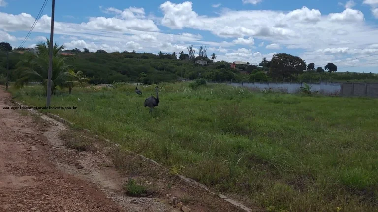 Imagem Terreno em Condomínio para Venda em Macaíba, Área Rural de Macaíba