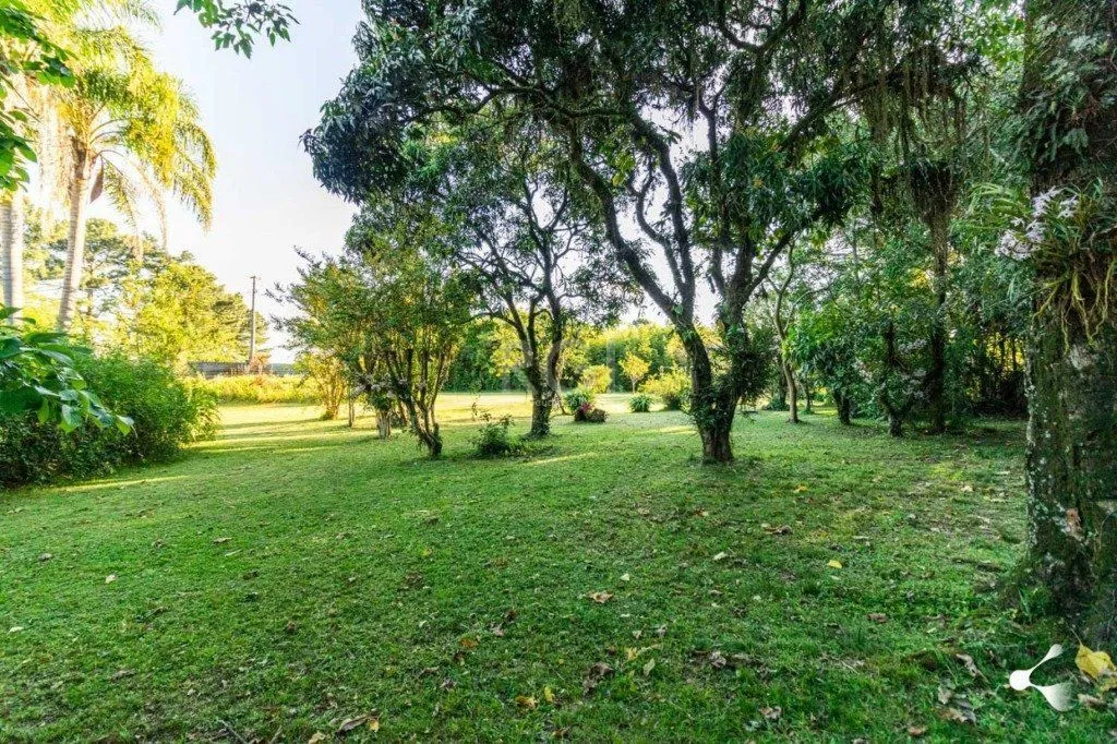 Imagem Sítio para Venda - 25000m², 0 dormitórios, Lomba do Pinheiro