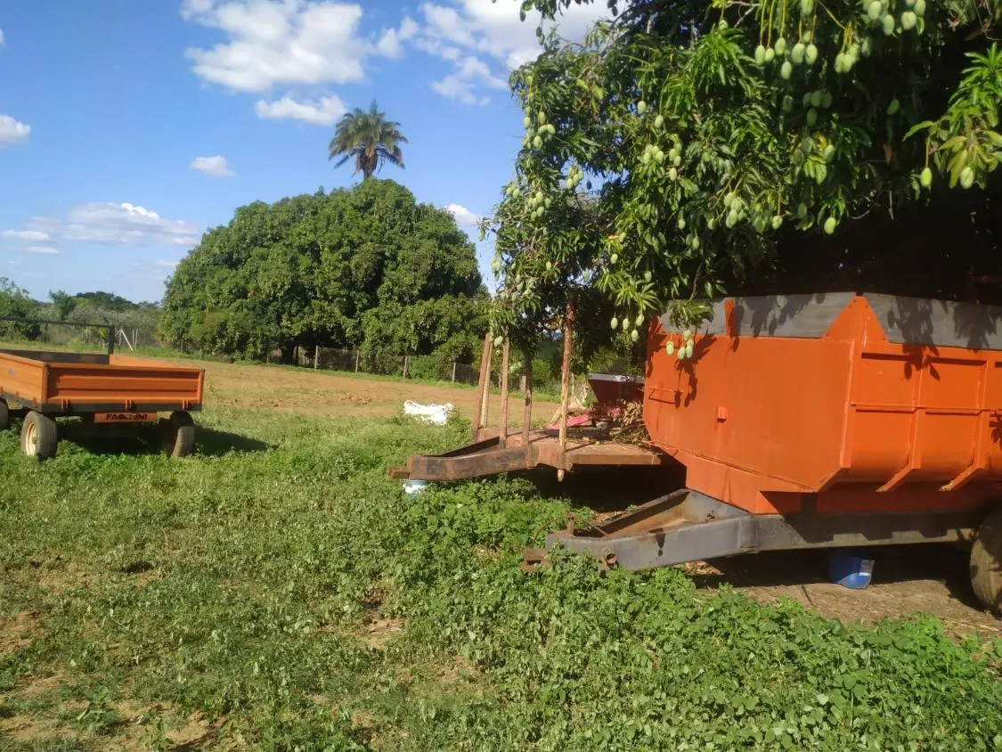 Imagem FAZENDA PORTEIRA FECHADA À VENDA - REGIÃO DE DIAMANTINA 257 hectares de área total