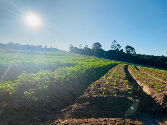 Imagem Terreno à Venda, 1.000 m² em Campo Verde - Ibiúna