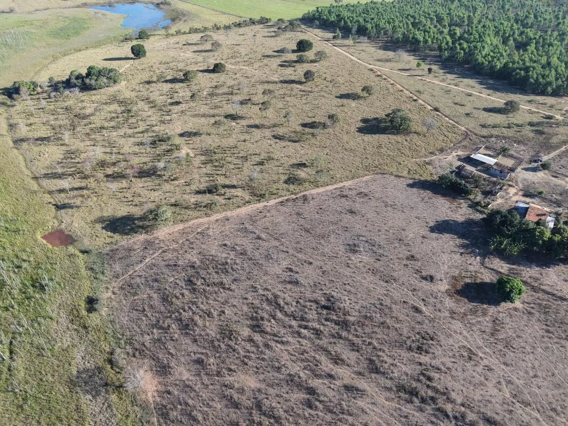 Imagem Fazenda à Venda em Papagaios/MG ? 150 Hectares