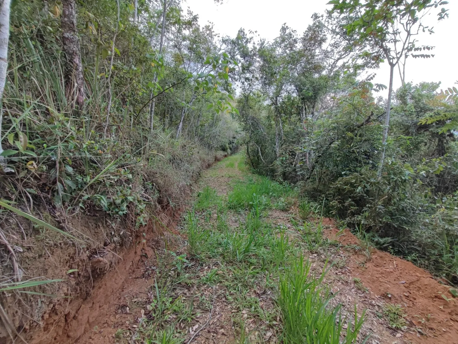 Imagem Chácara à venda 78000M², Zona Rural, Pindamonhangaba - SP