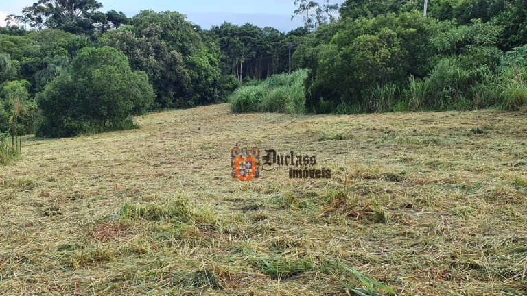 Imagem Área à venda, 40000 m² por R$ 1.300.000,00 - Caetetuba - Atibaia/SP