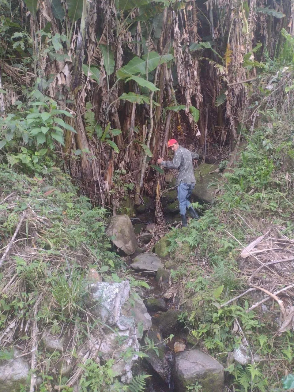 Imagem Terreno à venda 1300M², Piracuama, Pindamonhangaba - SP