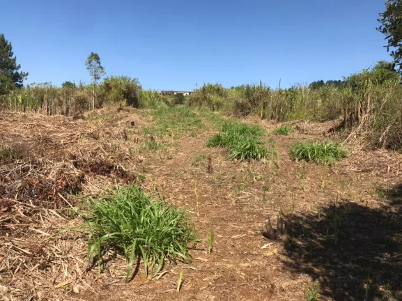 Terreno à Venda, 1.000 m² em verava - Ibiúna