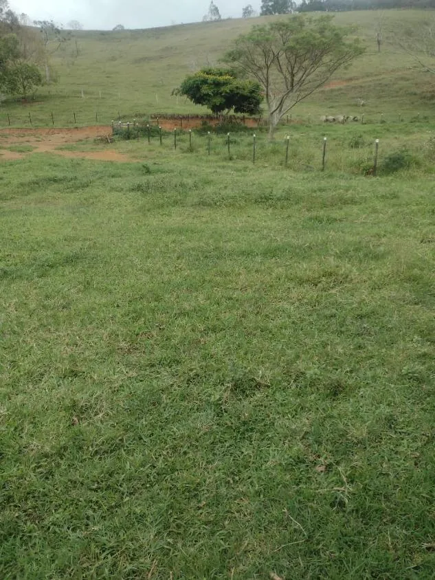 Imagem Terreno à Venda em São Domingos do Prata/MG com 25,5 hectares de terra