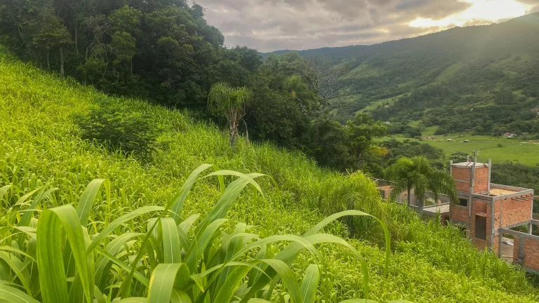Imagem Oportunidade única: Terreno à venda em Garopaba-SC, Bairro Macacu, 1.000m² de área!