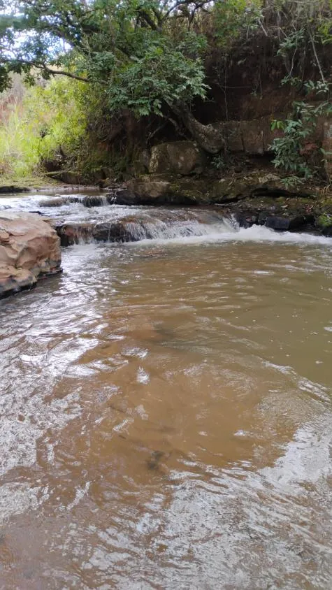 Imagem Fazenda à Venda em Belo Vale/MG | 42 Hectares | R$ 2.800.000,00