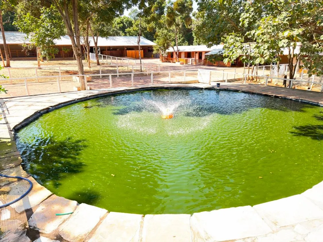 Imagem Rancho de Alto Padrão à Venda ?Com 40.000 m² de área total, Paraopeba/MG