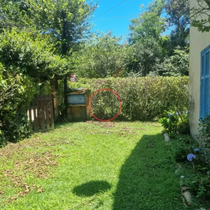 Imagem 2 pequenas Casas na maquinino Bairro MAQUININHA, em um terreno de 700 metros limpo em rua asfaltada , junto a natureza
