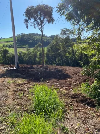 Imagem Terreno para Venda em Concórdia, Área Rural de Concórdia