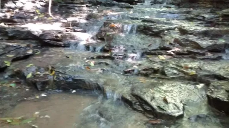 Imagem Propriedade Rural de 10 Mil Metros em Morro do Alto, Itapetininga - SP