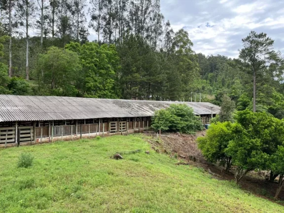 Imagem Área Agrícola para Venda em Ipumirim, Interior, 3 dormitórios, 1 banheiro, 2 vagas