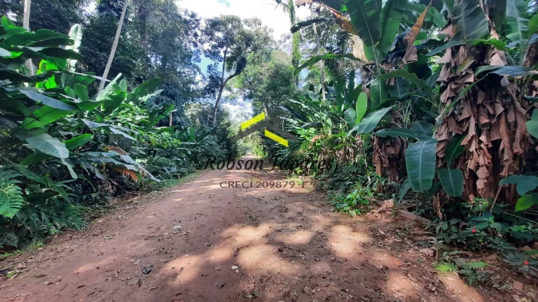 Imagem Oportunidade !!! Terreno em condomínio Itamambuca Ubatuba -SP