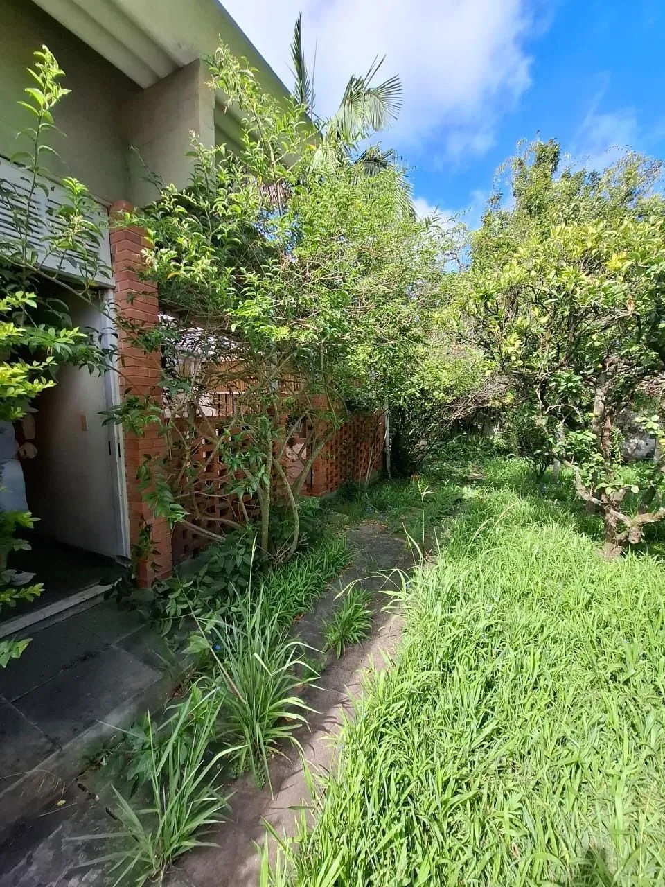 Imagem Casa no bairro ipanema 4 dormitórios